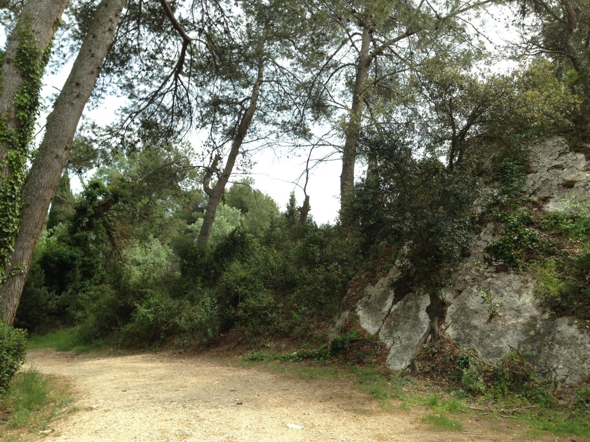 Cabane De La Leque Fontvieille Eksteriør billede